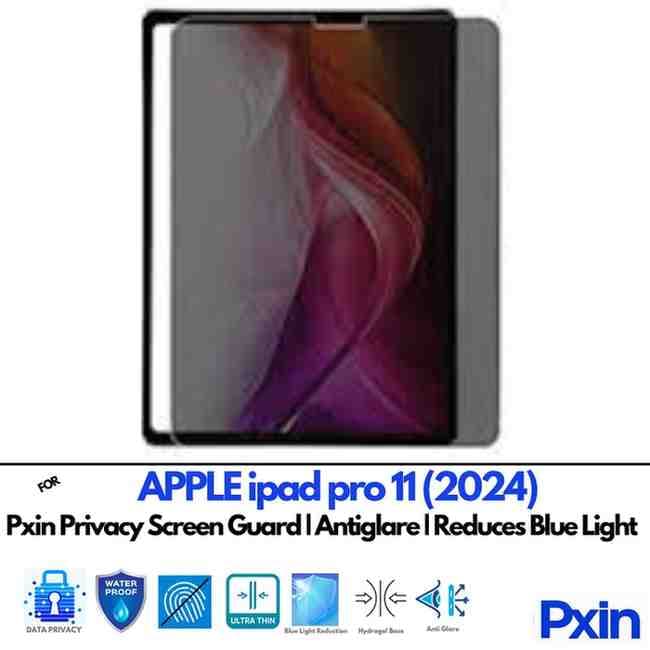 APPLEipadpro112024 Privacy screen gurad